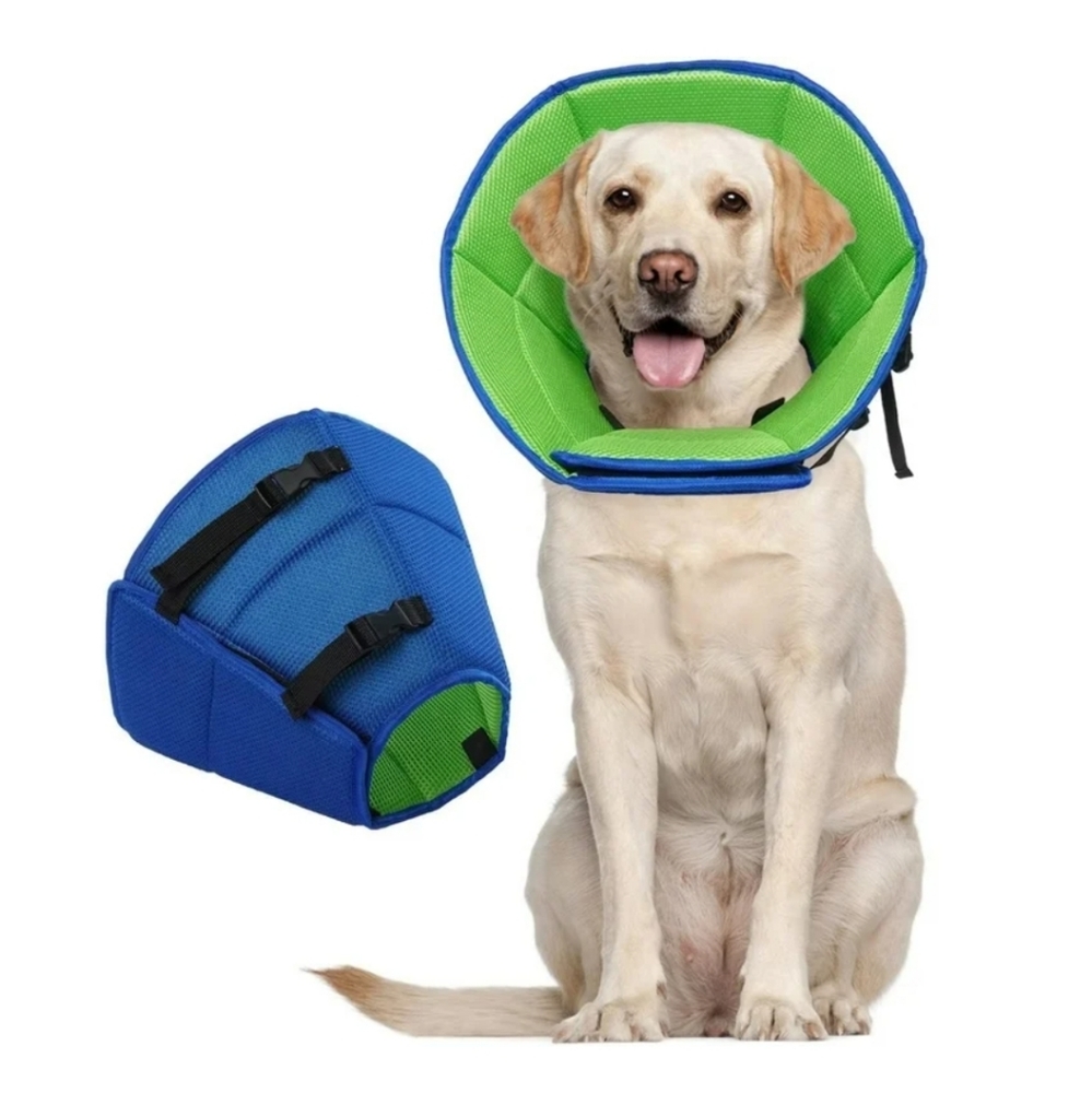 Soft Dog Cone